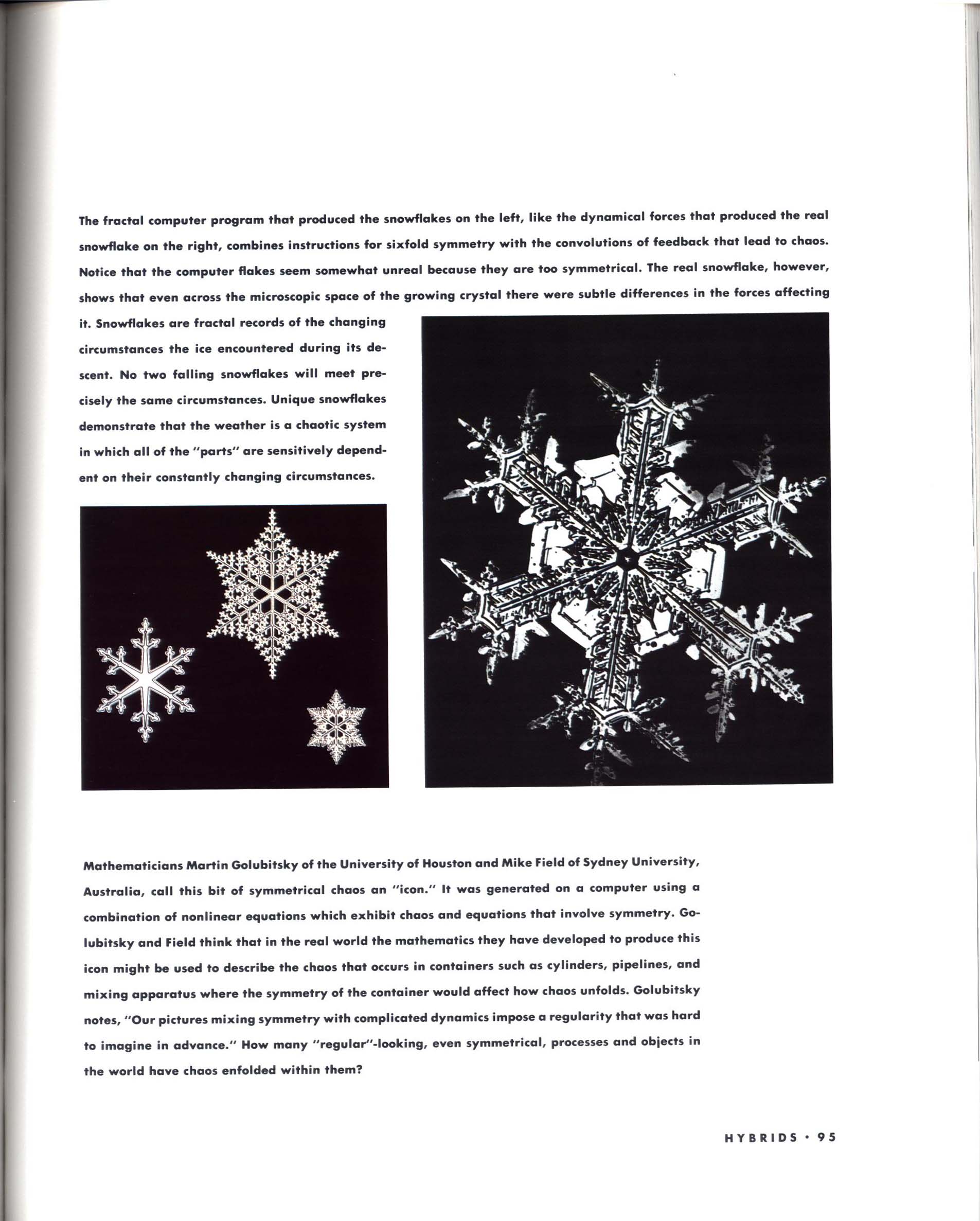 FRACTALS: THE PATTERNS OF CHAOS--discovering a new aesthetic of art, science, and nature. sisc4058g